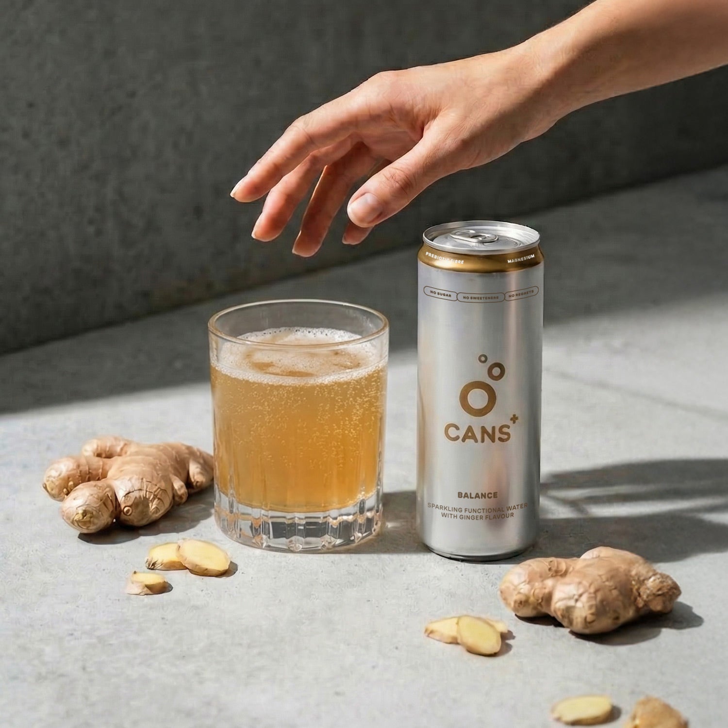 CANS+ Balance -- 24 × 330ml