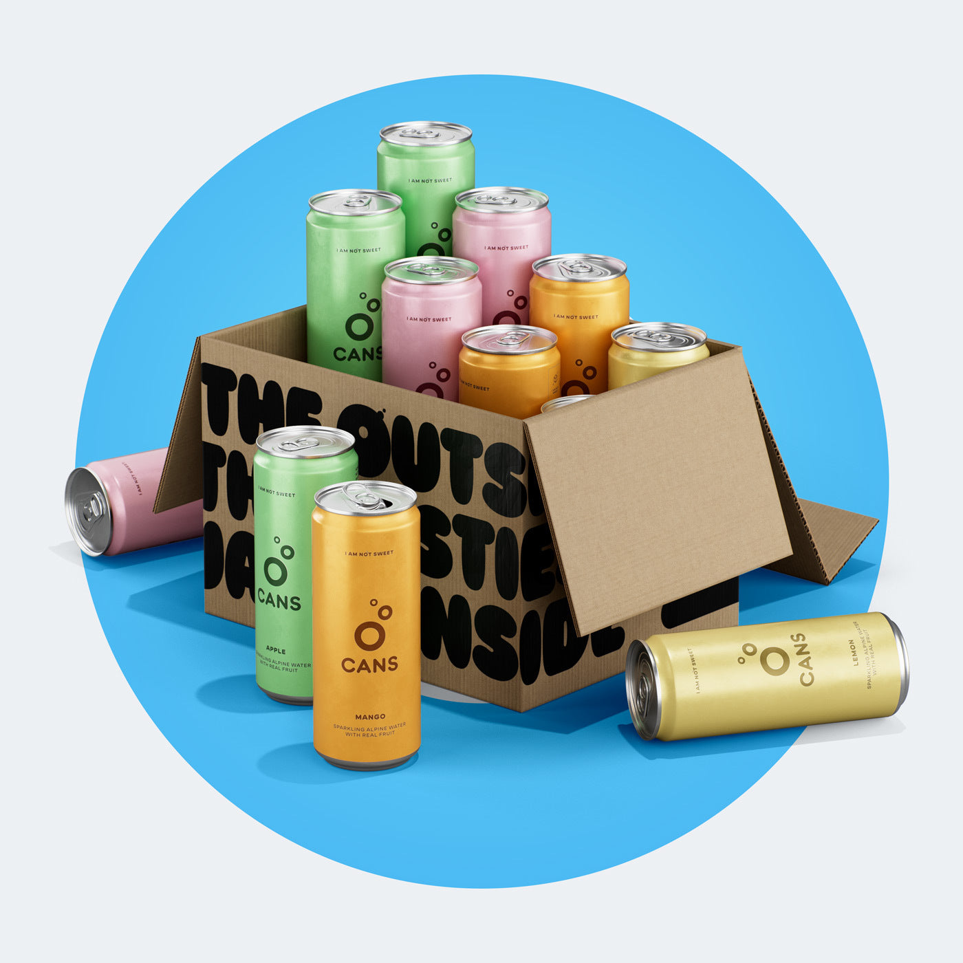 CANS STARTER PACK -- 12 × 330ml